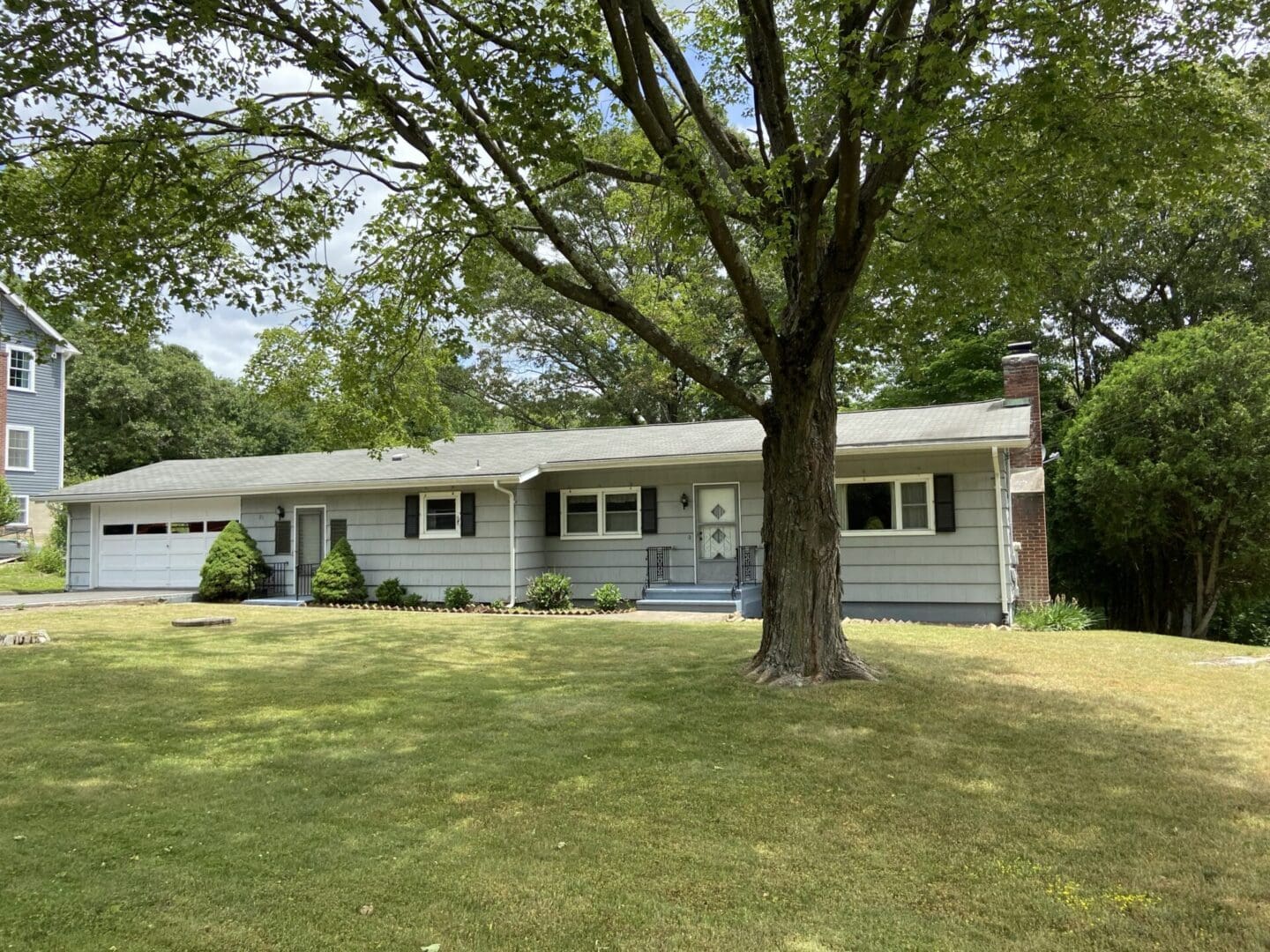 A large tree in front of a house