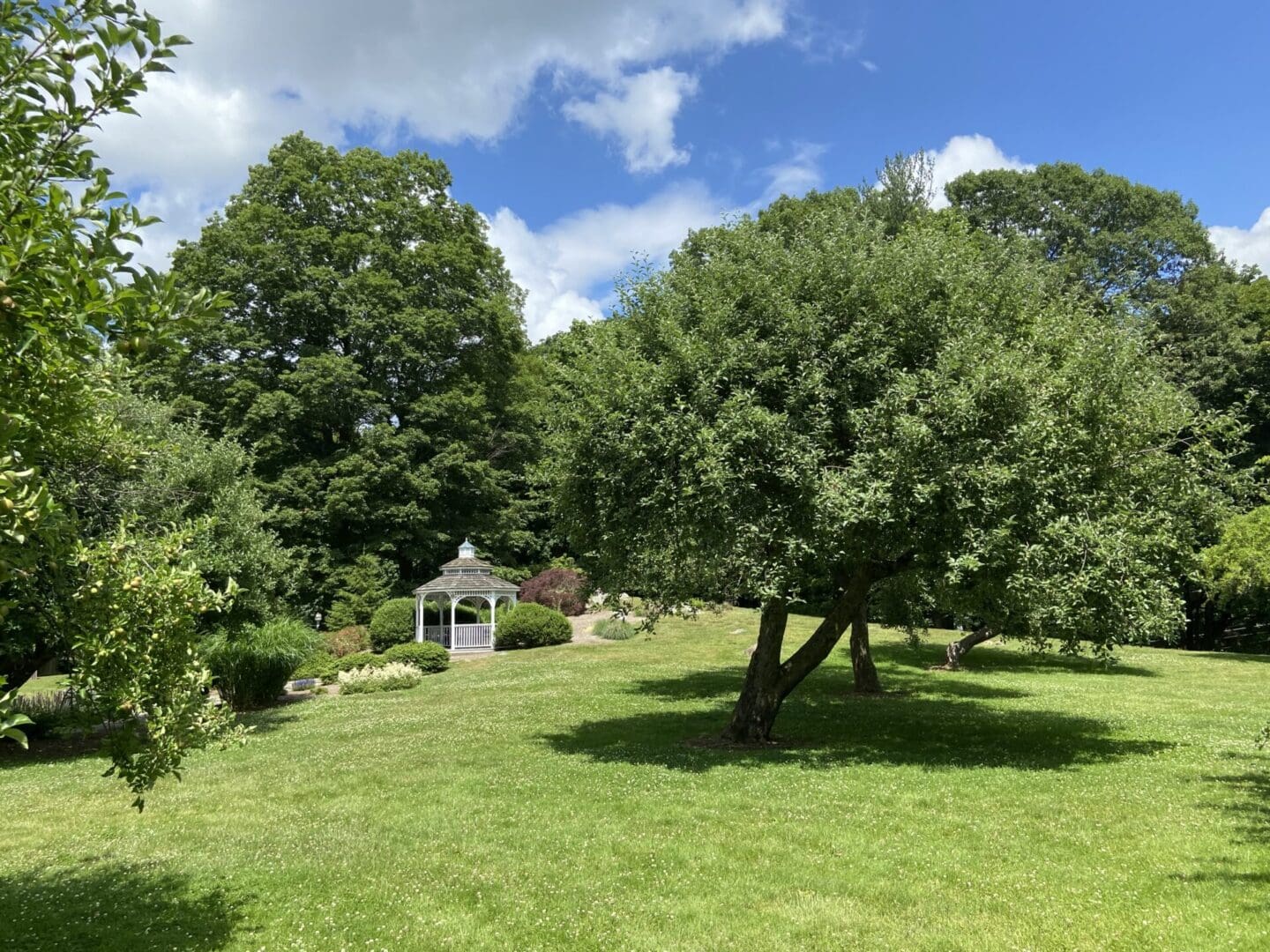 A park with trees and gazebo in the background.