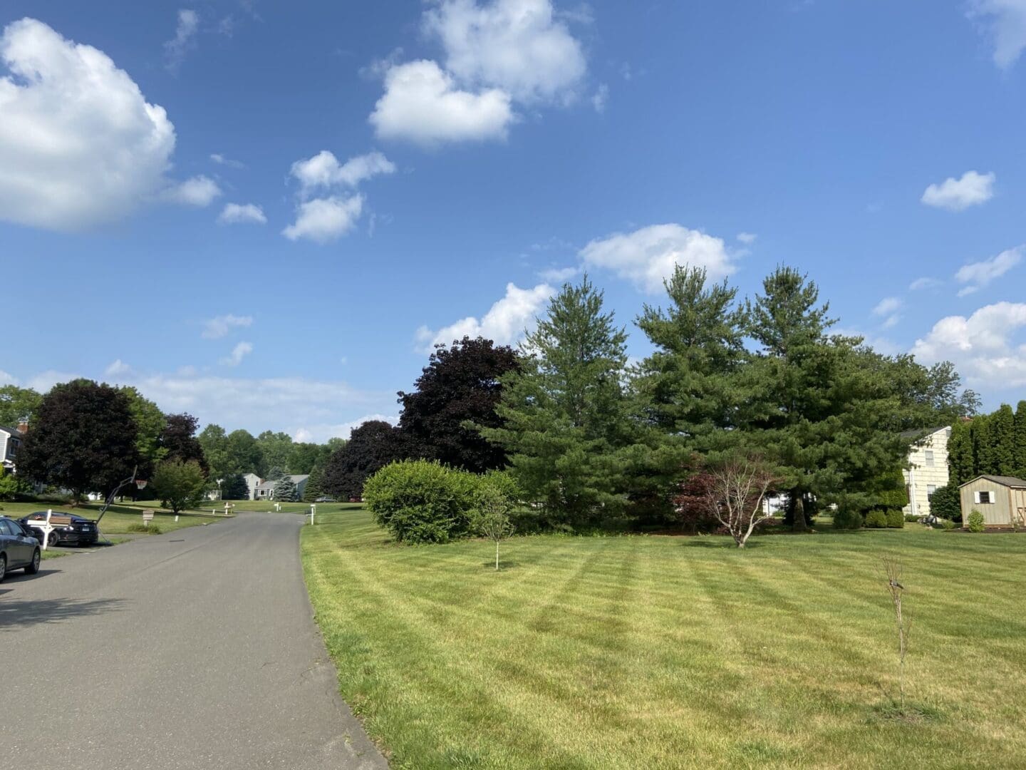 A road with grass and trees on both sides of it.