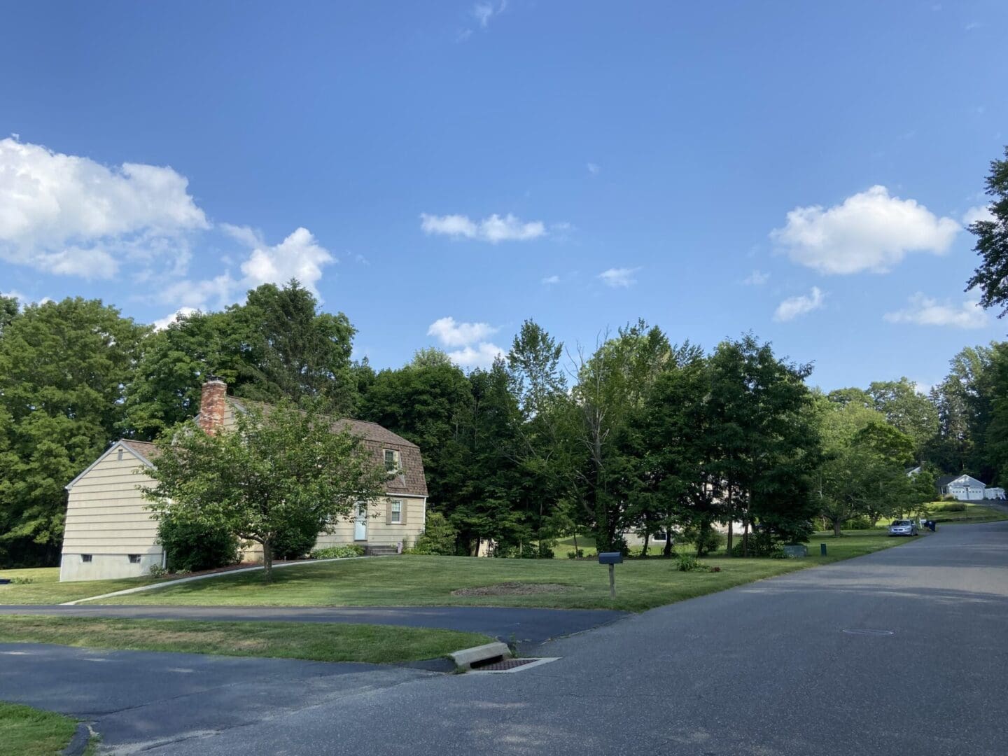 A street with trees and bushes in the background.