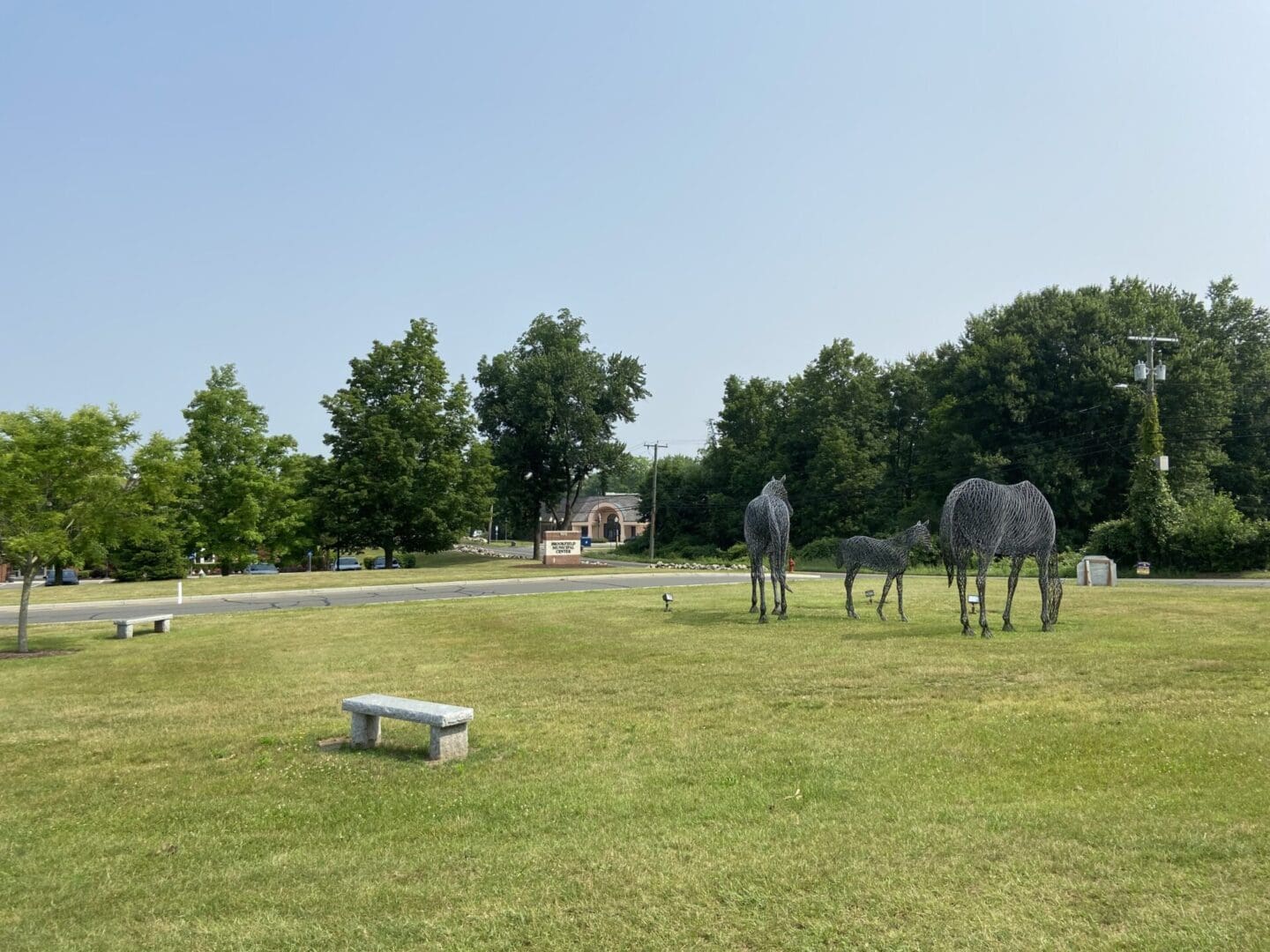 A group of horses grazing in the grass.