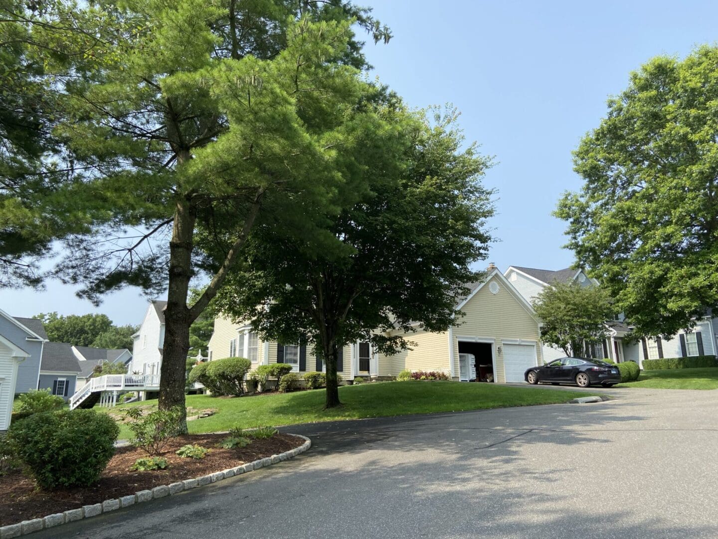 A street with some trees and houses on the side