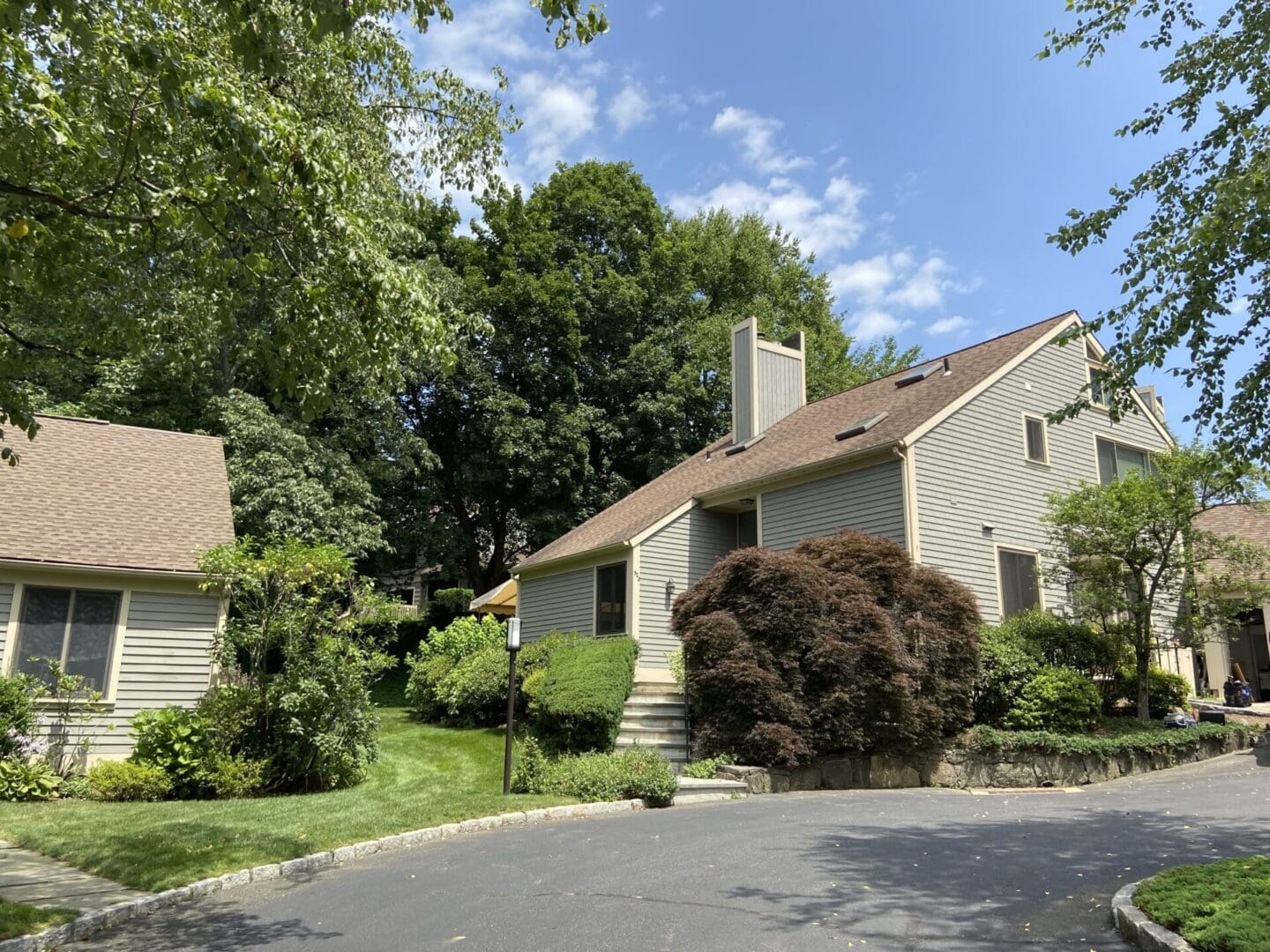 A house with trees and bushes in the background