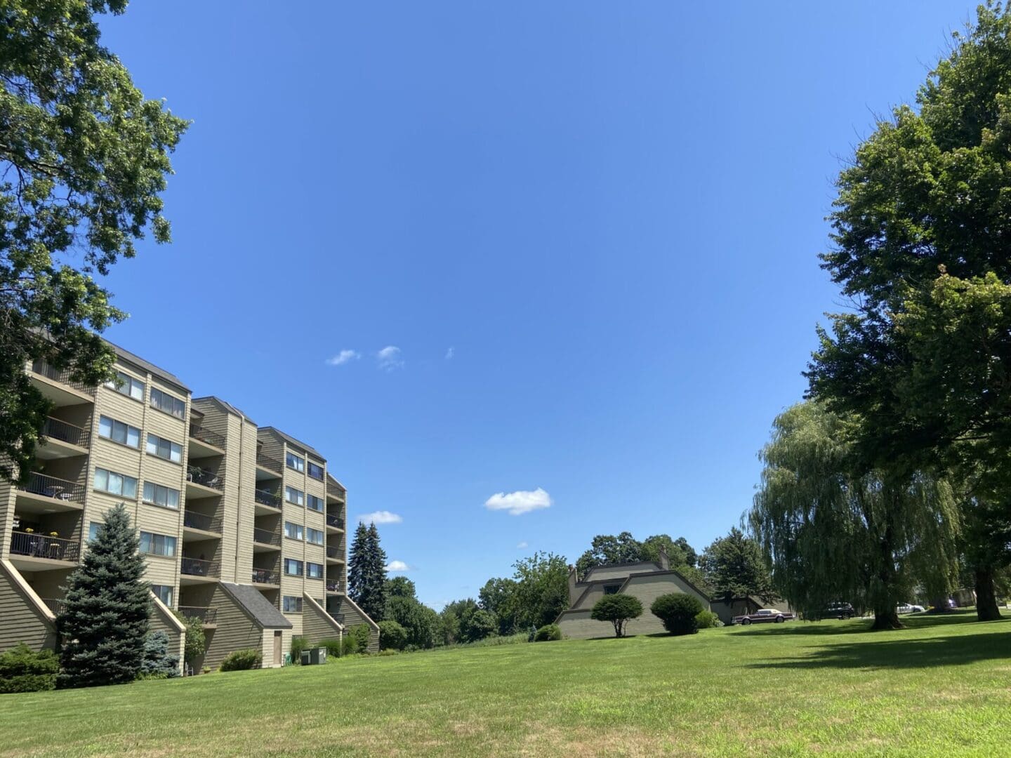 A view of some trees and buildings from the grass.