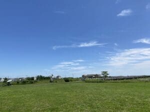 A field with grass and trees in the background.