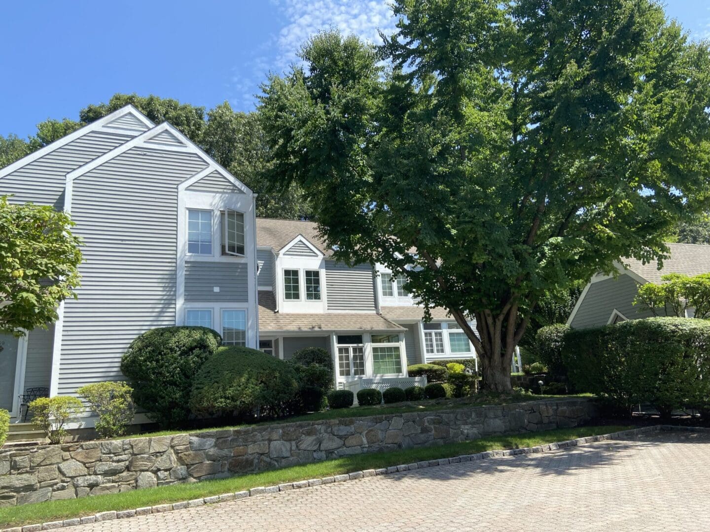 A large tree in front of a house