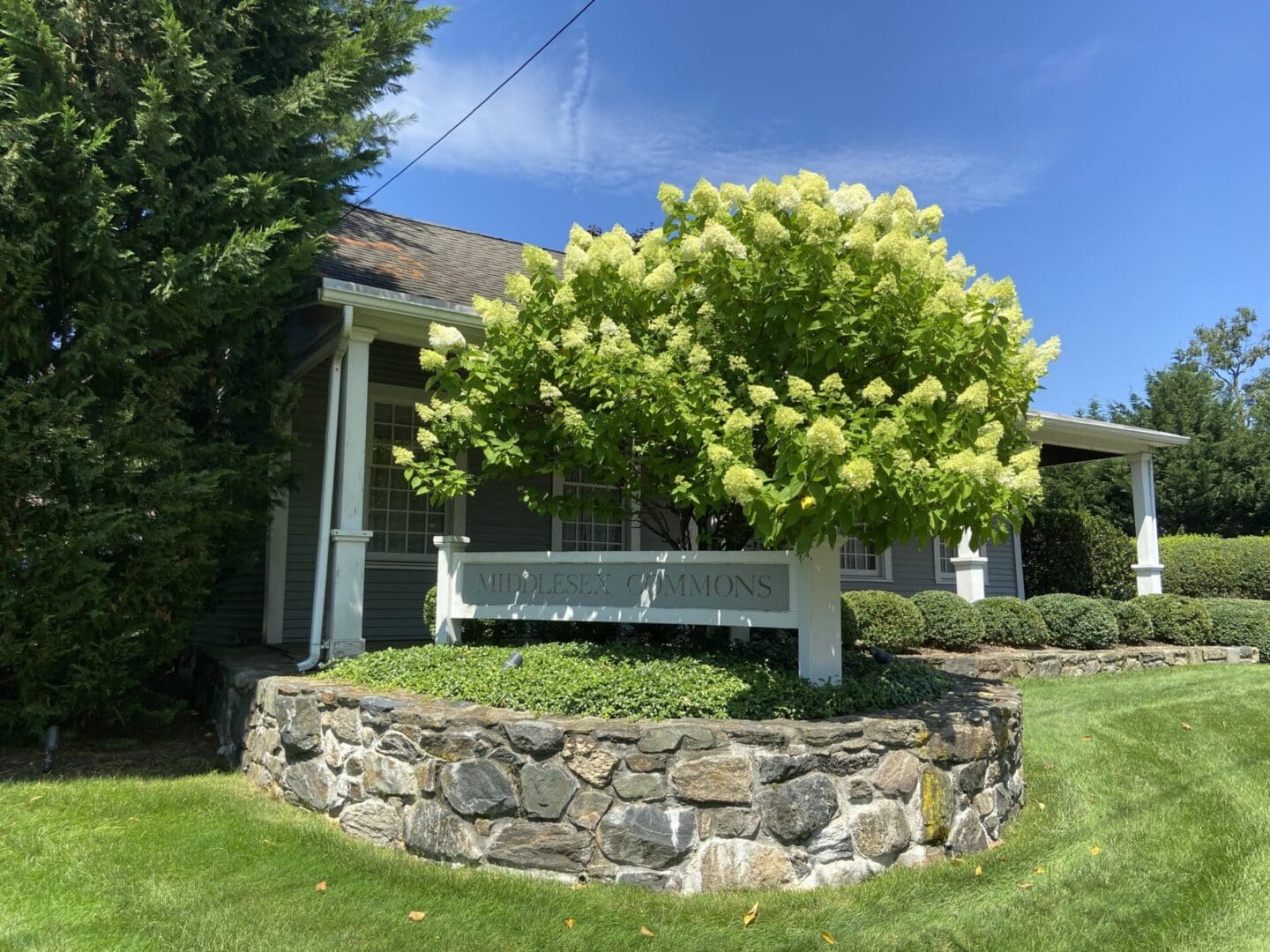 A tree in front of a house with a bench on the side.