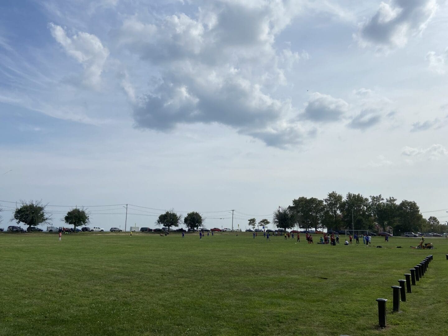 A field with trees and clouds in the sky.