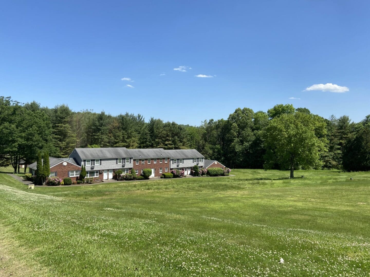 Row of townhouses in a grassy field.