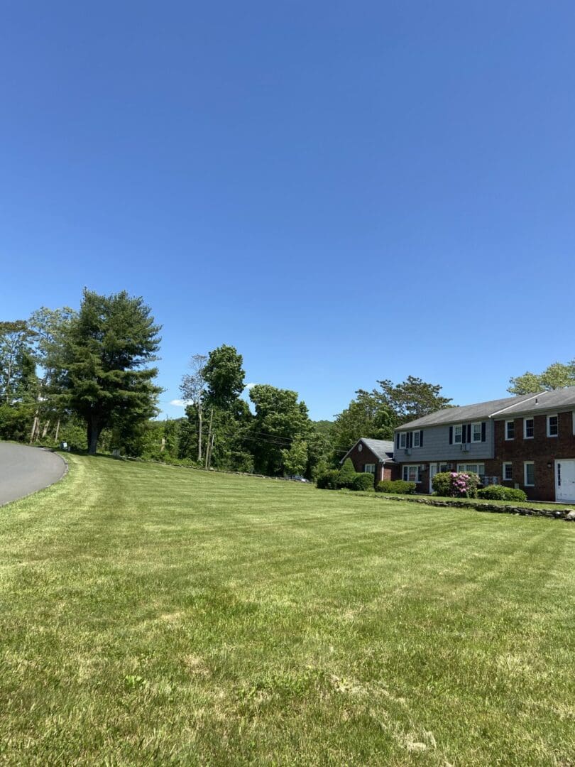 Green lawn in front of a house.