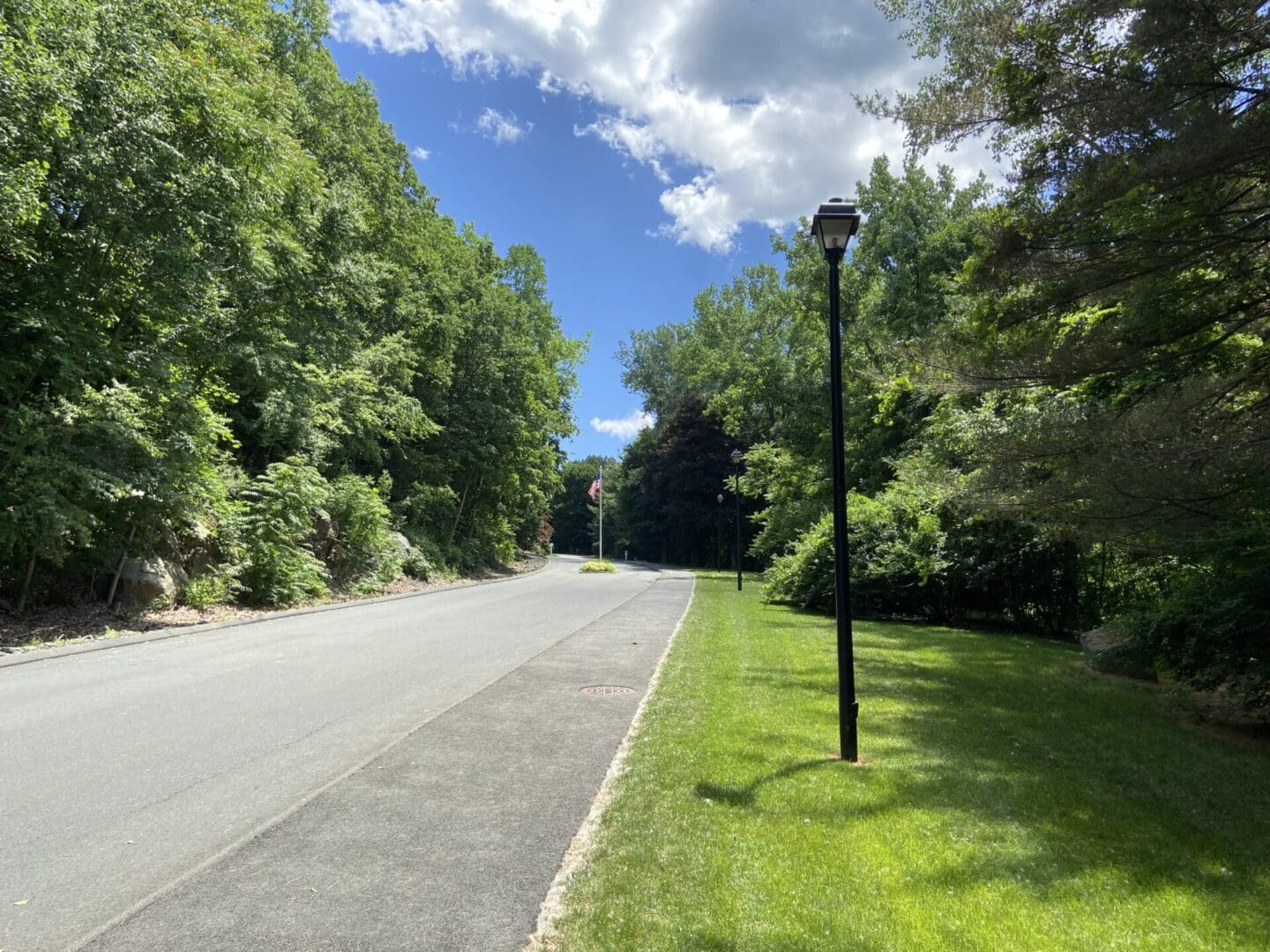 Empty street with a lamppost and trees.