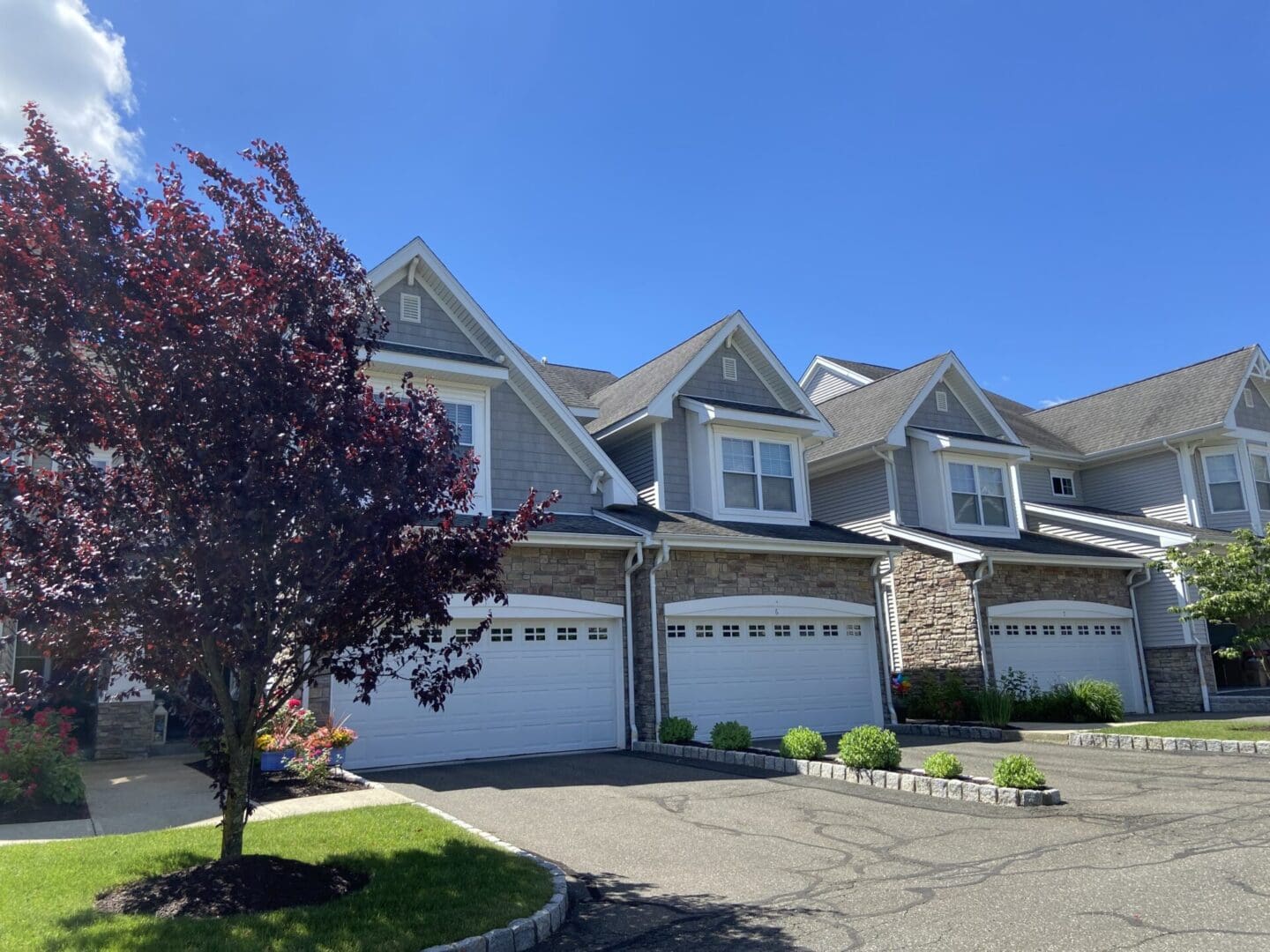 Townhouses with garages and a tree.