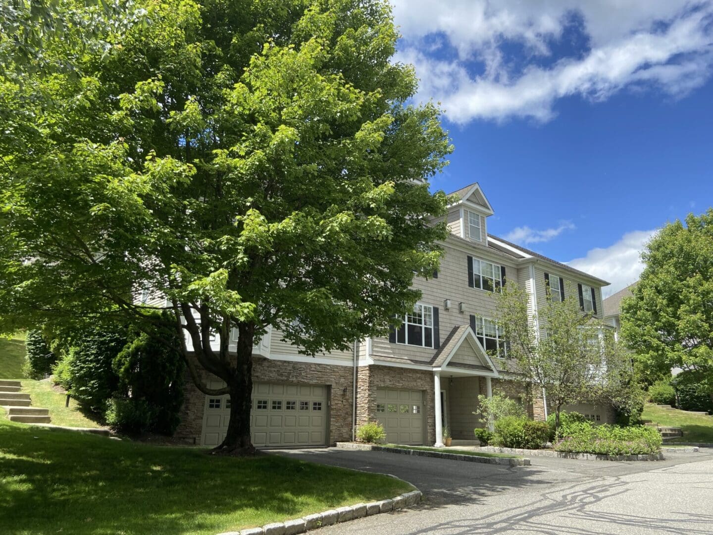 Townhouse with a garage and tree.