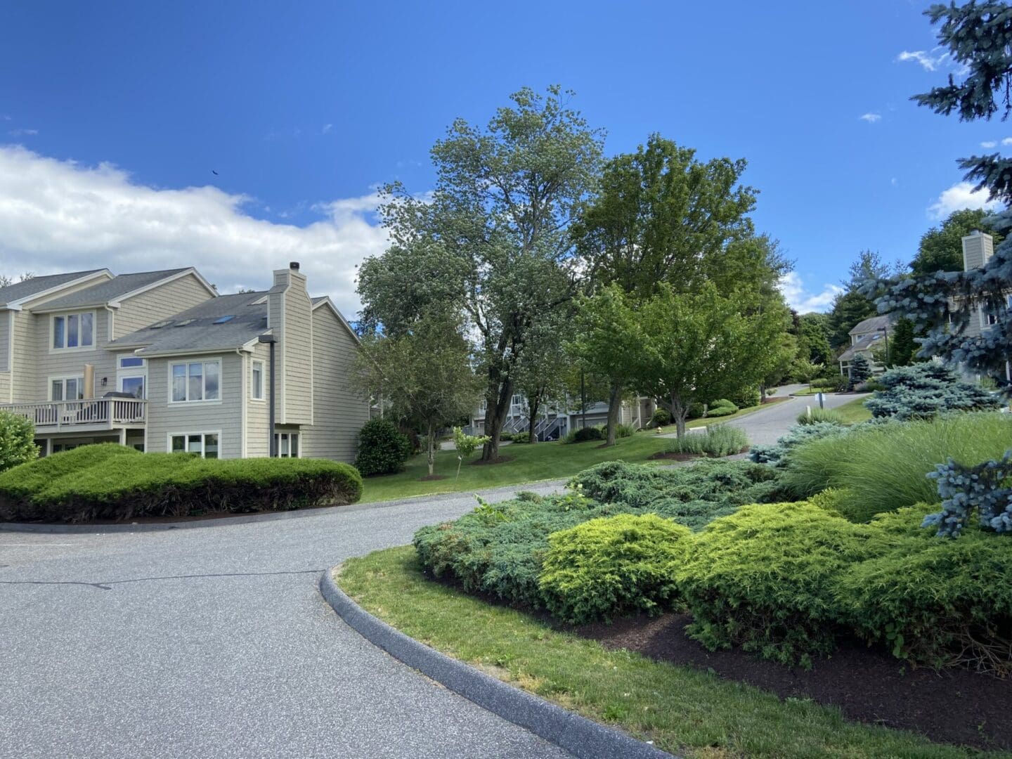 A paved road winds through a neighborhood.