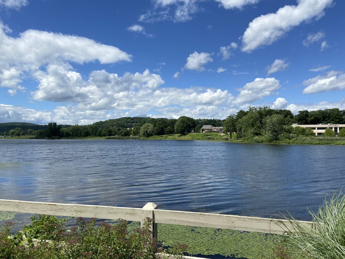 A lake with green trees and blue sky.