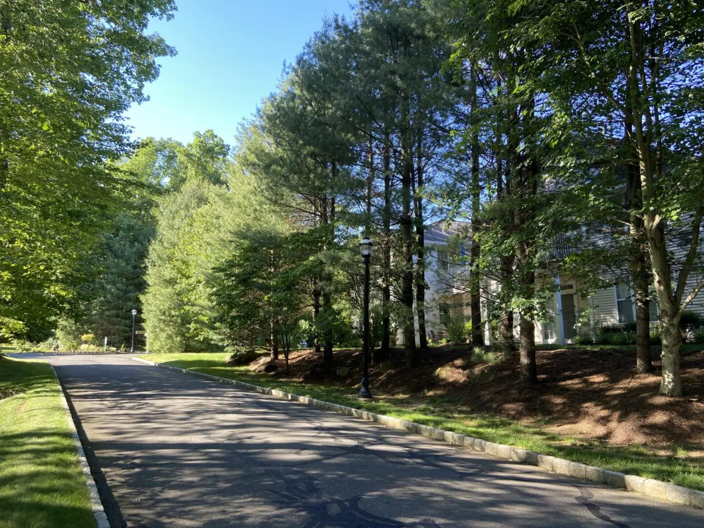 A paved pathway through a tree-lined neighborhood.