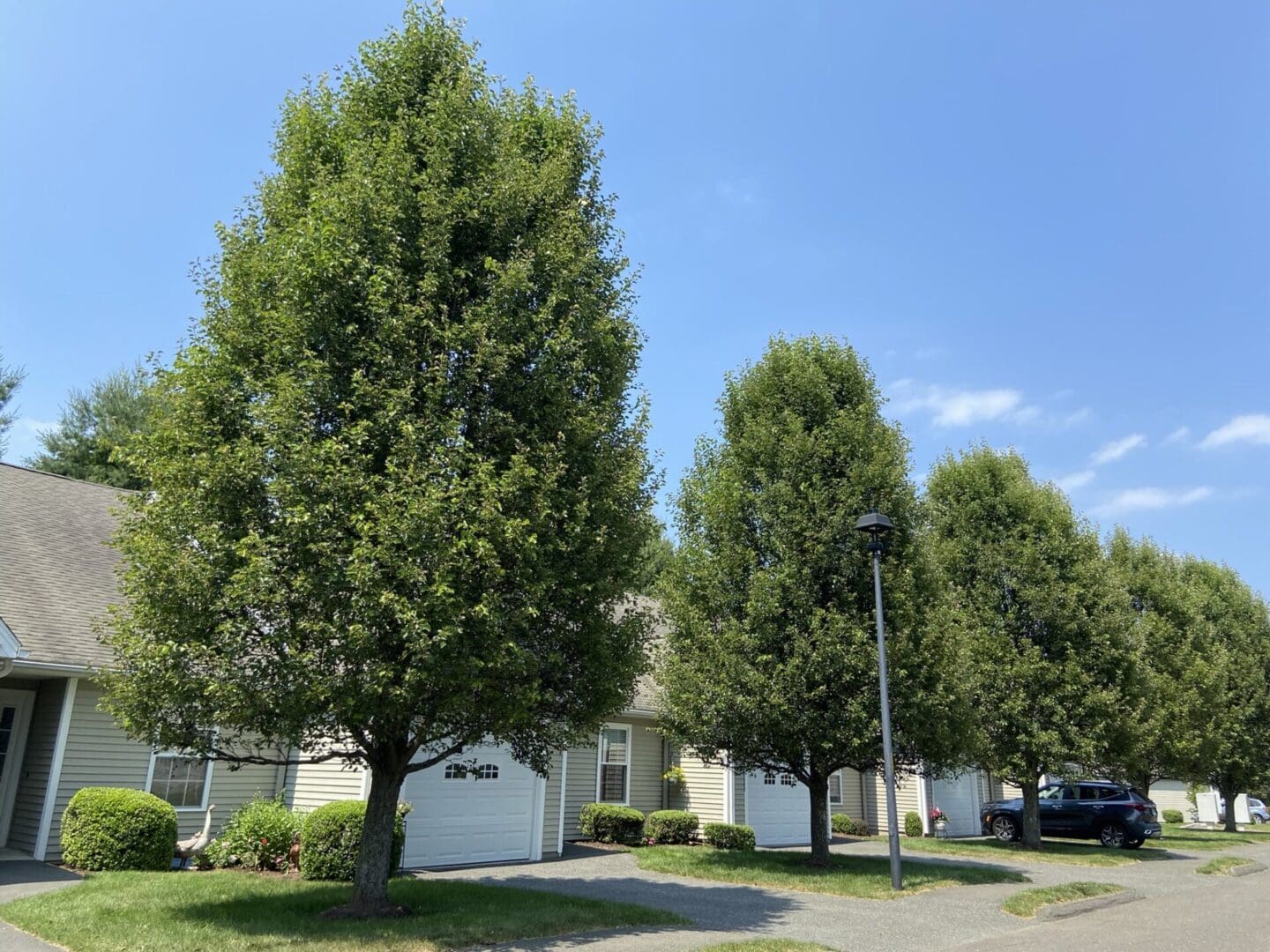 Townhouses with trees and a blue car.