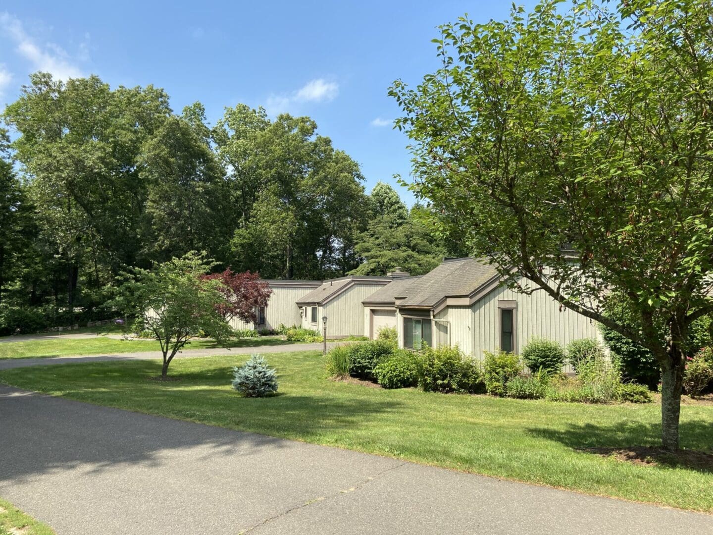 Houses in a suburban neighborhood.