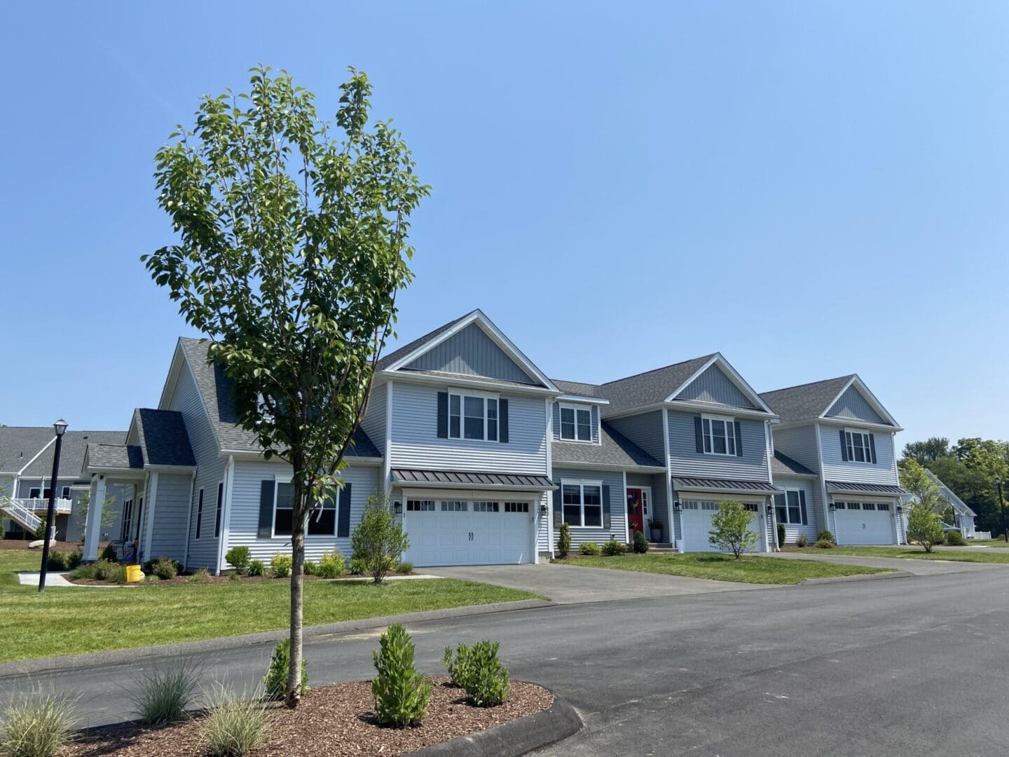 Gray houses with garages and a tree.