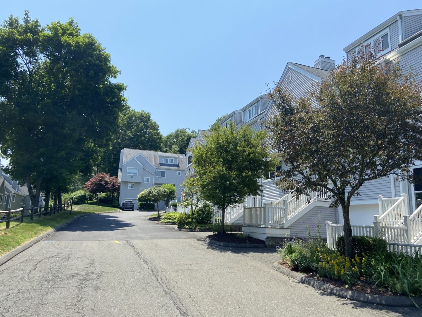 Gray townhouses, tree-lined driveway.