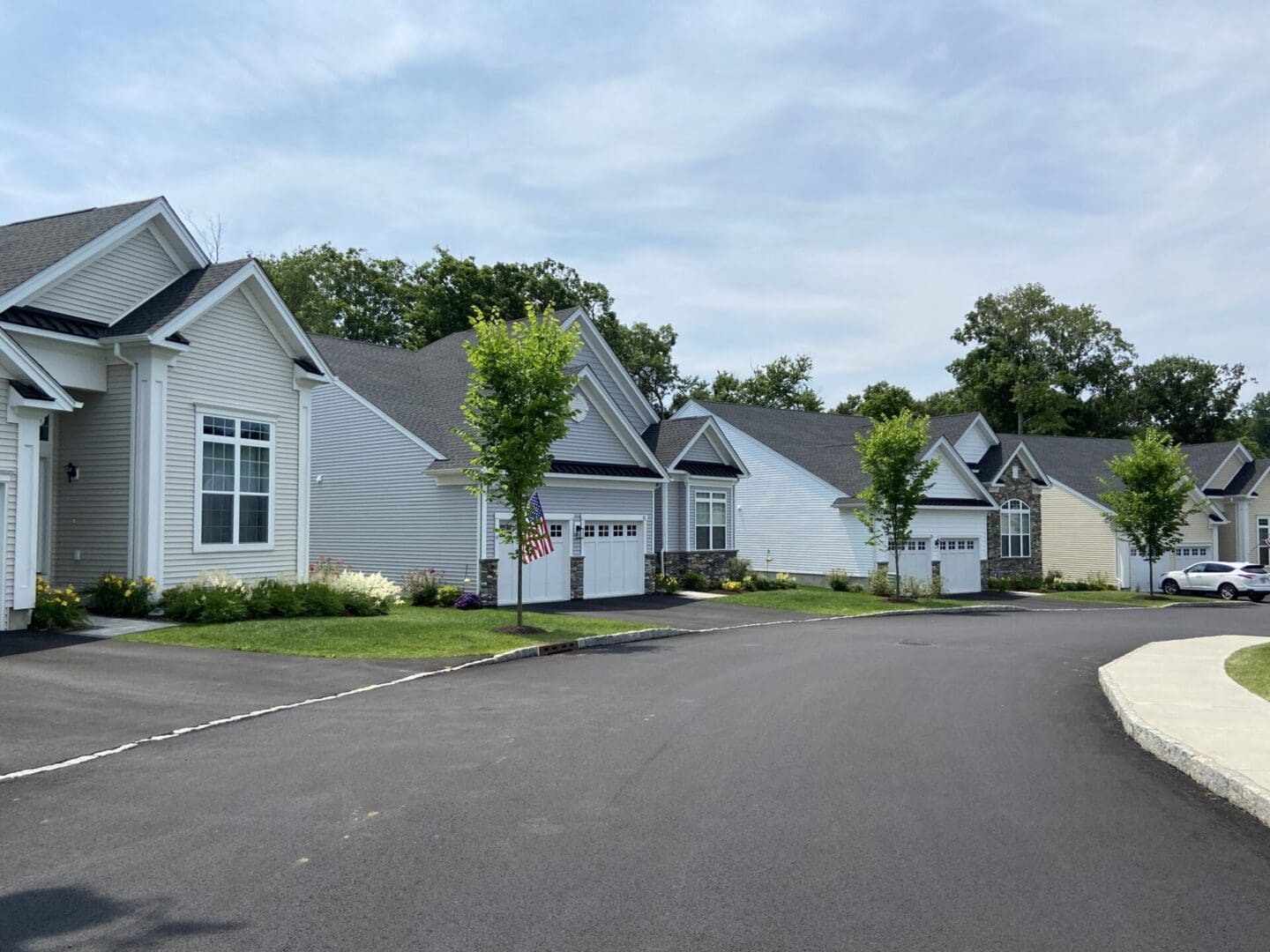 Row of houses with an American flag.