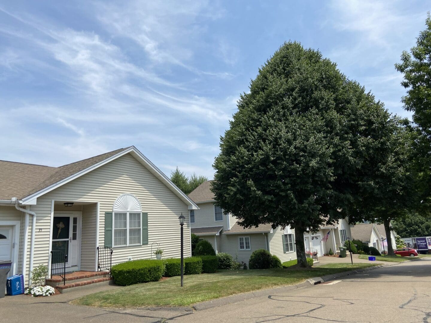 Beige houses and large green tree.