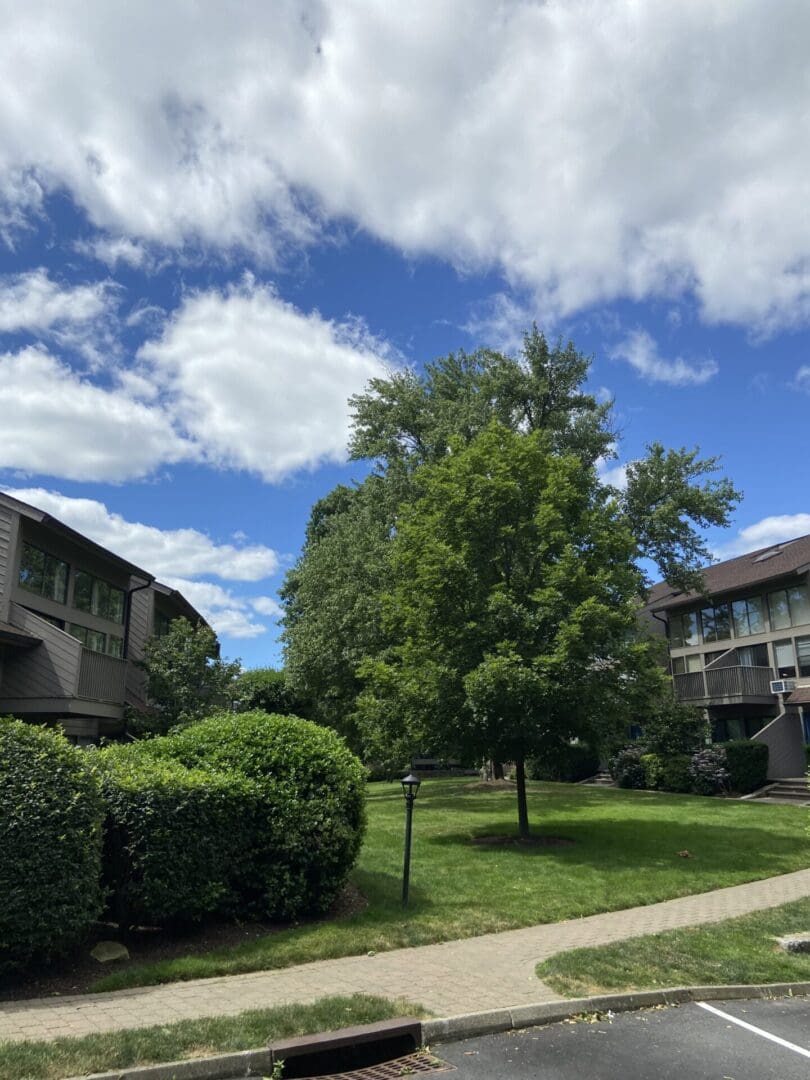 A green lawn with two buildings.