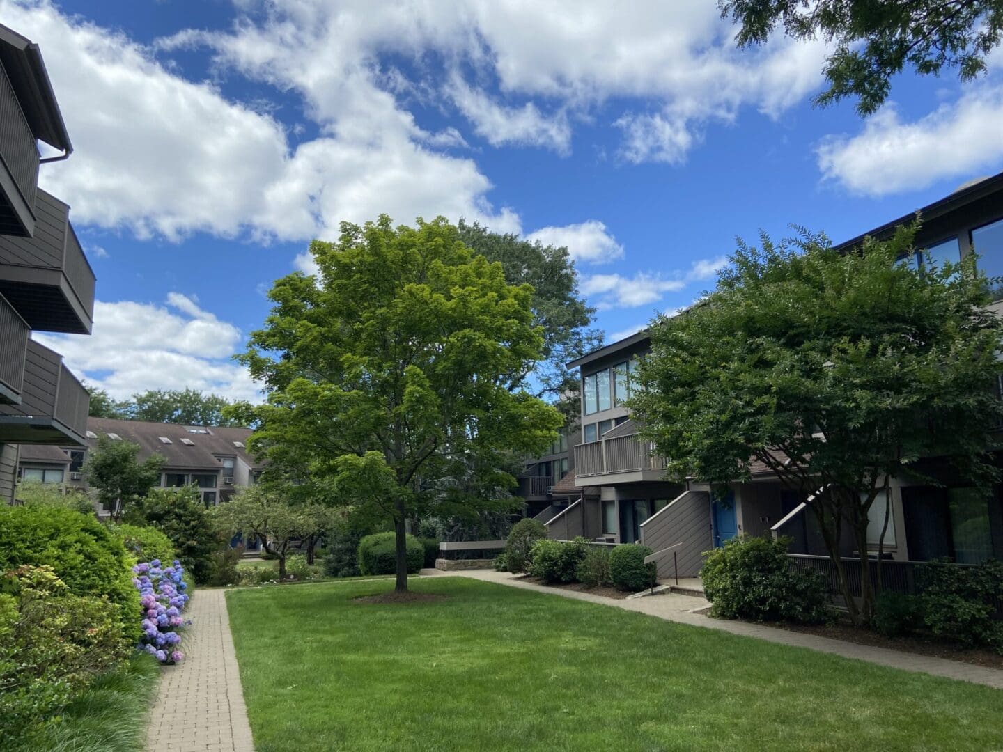 Townhouse complex with a grassy lawn.