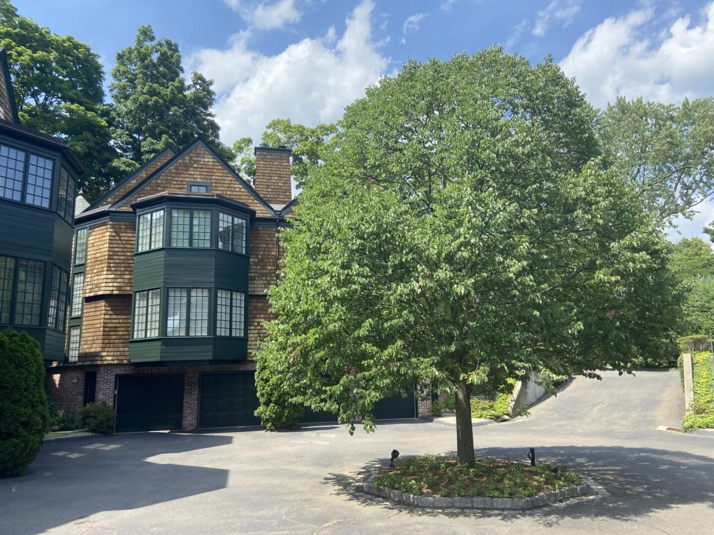 House with green trim and a tree.