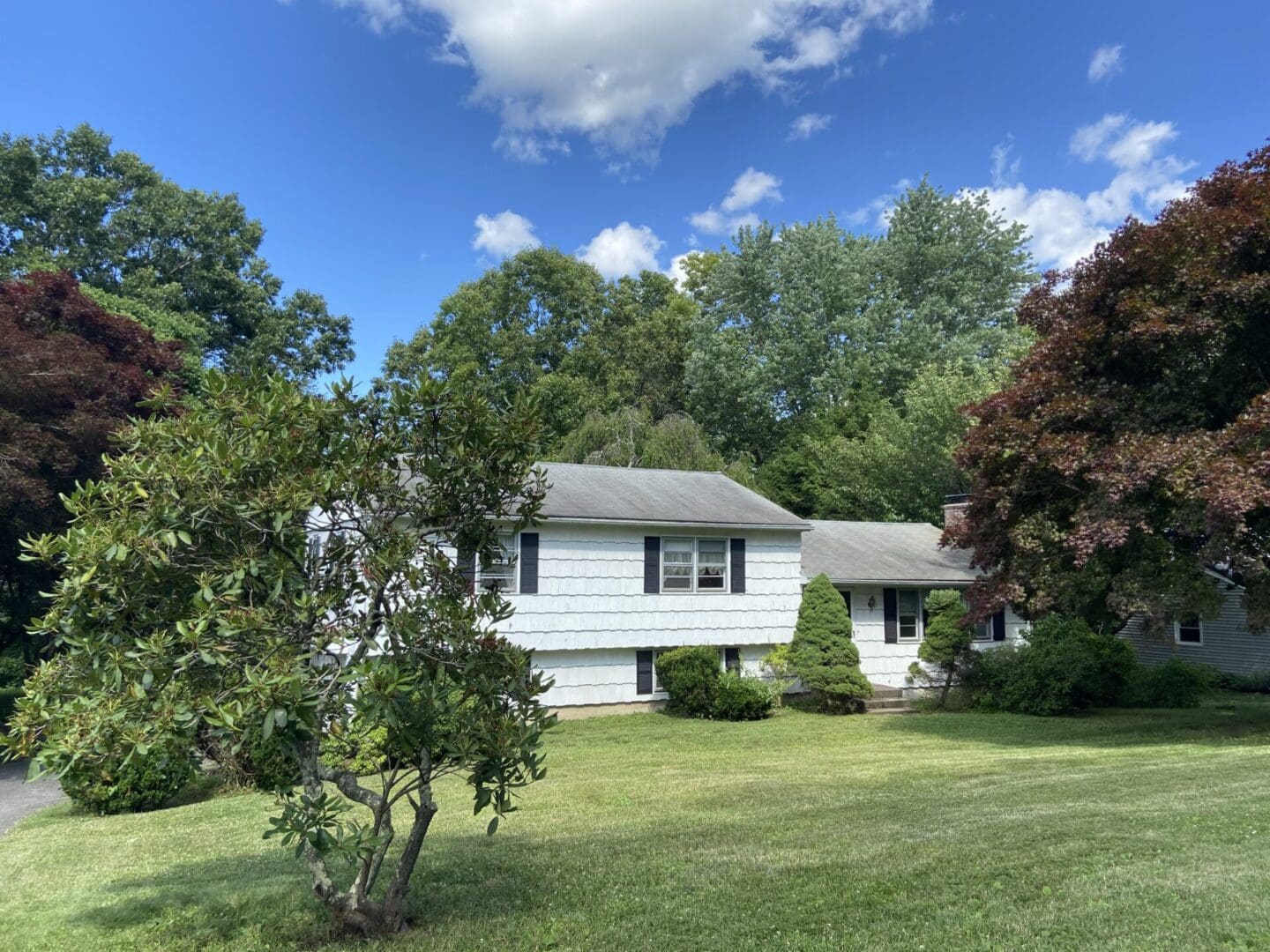 White suburban house with green lawn and trees.