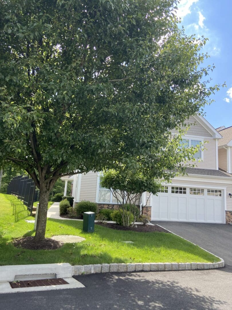 A house with a garage and a tree.