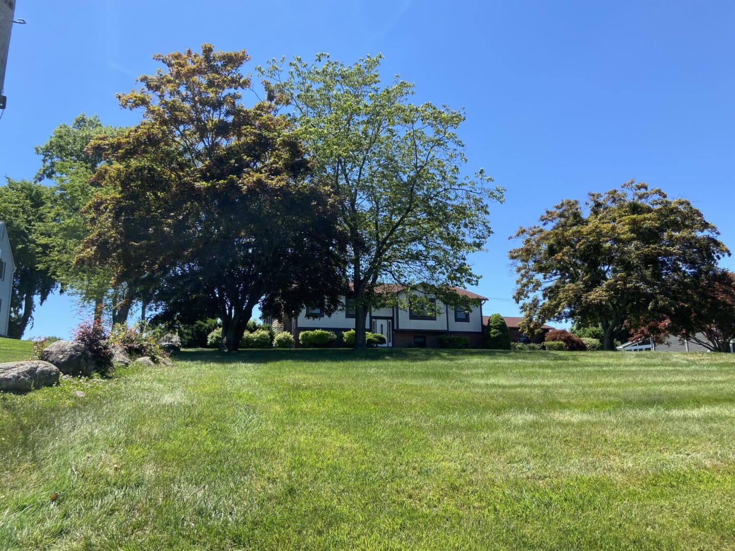 House and trees on grassy lawn.