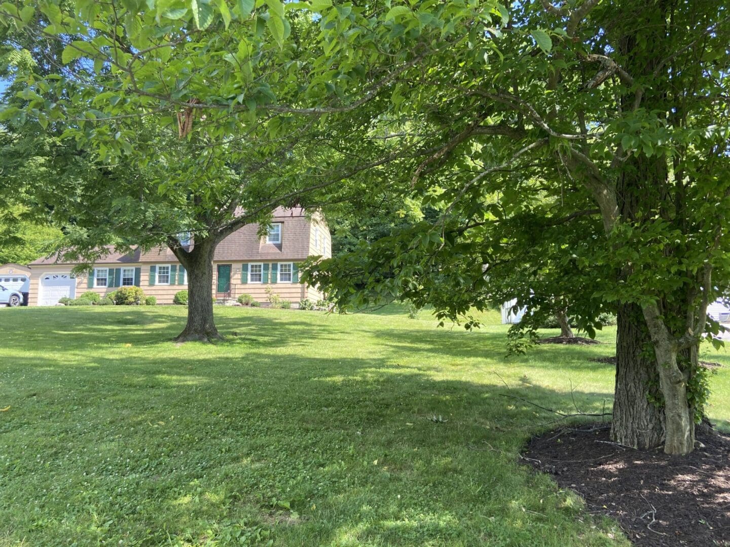 A green lawn with a house and trees.