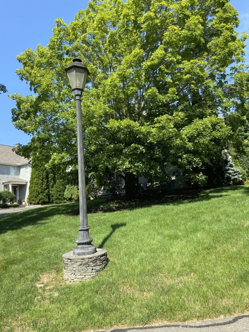 Lamp post under green tree on lawn.