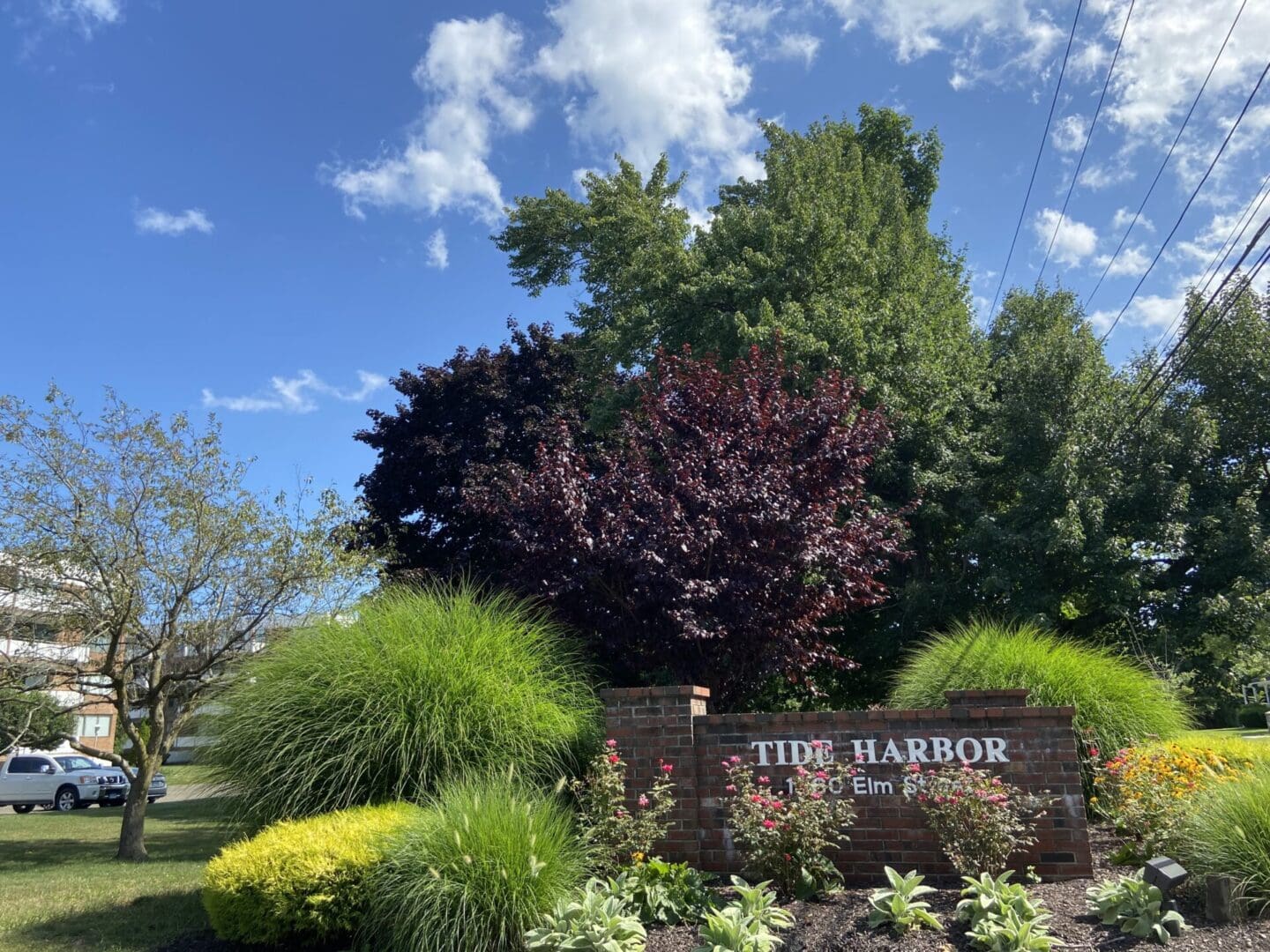 Tide Harbor sign with flowers and trees.