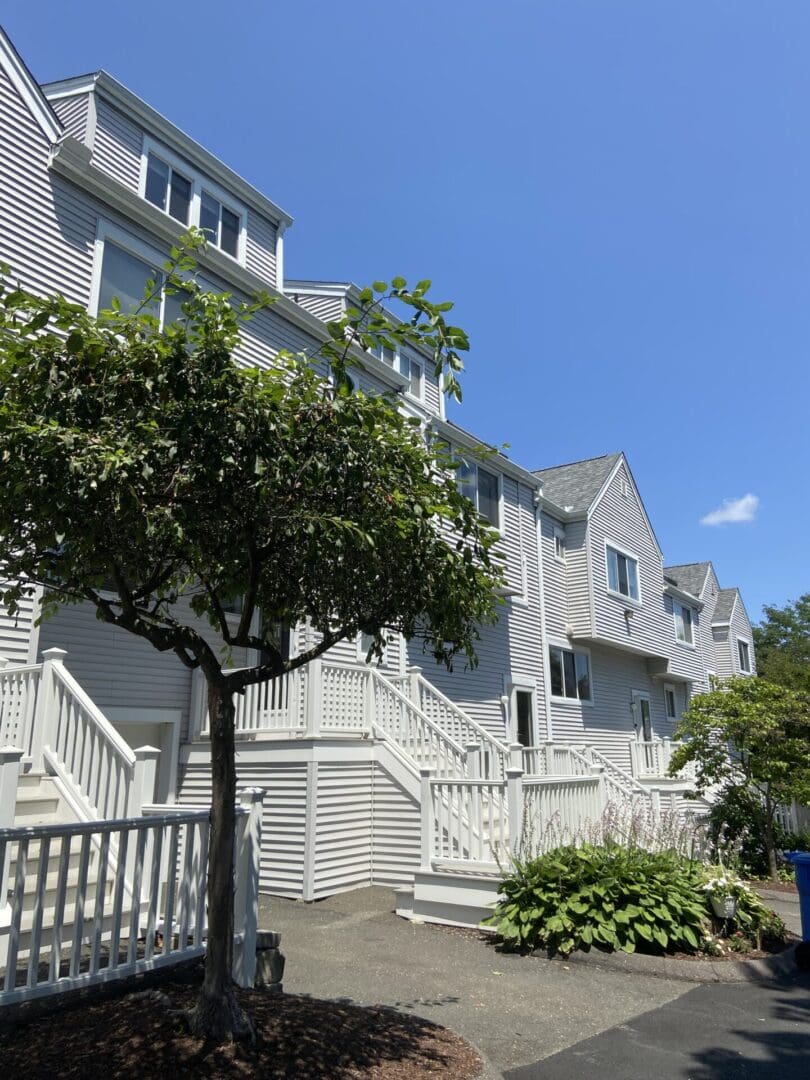 White townhouse with stairs and a tree.