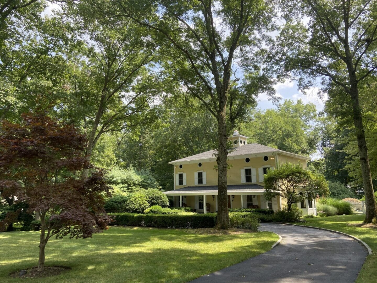 Yellow house on tree-lined driveway.