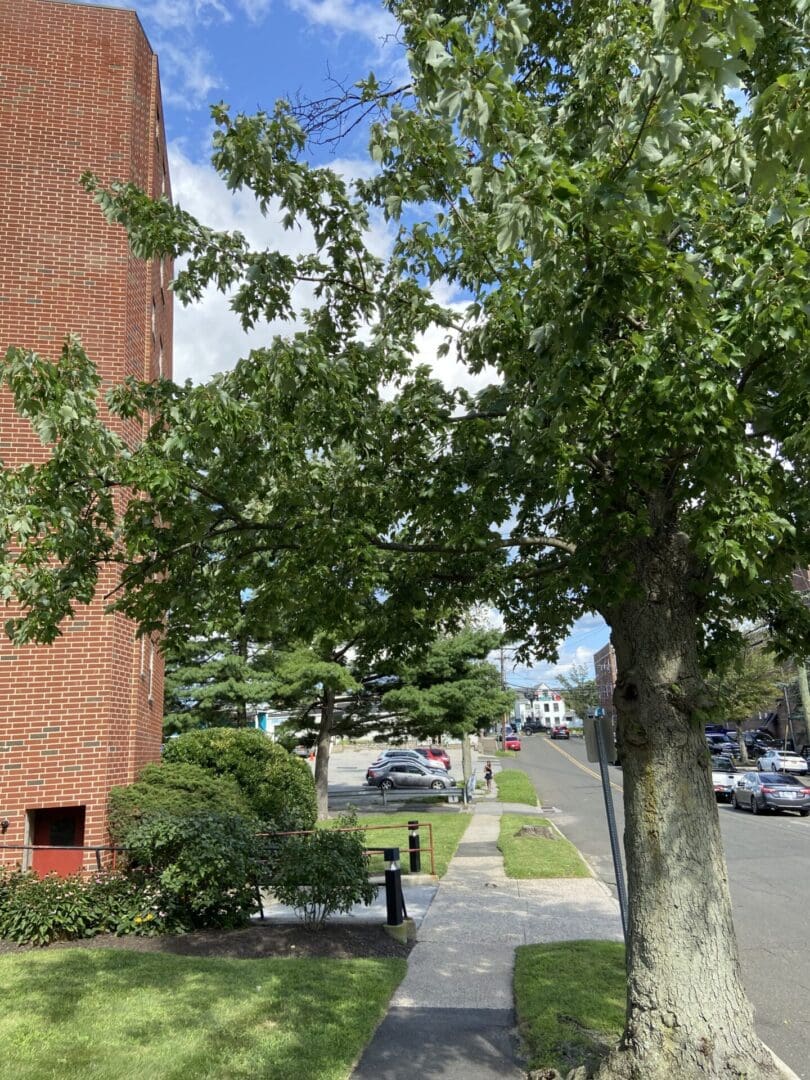 Brick building, tree, sidewalk, green grass, cars.