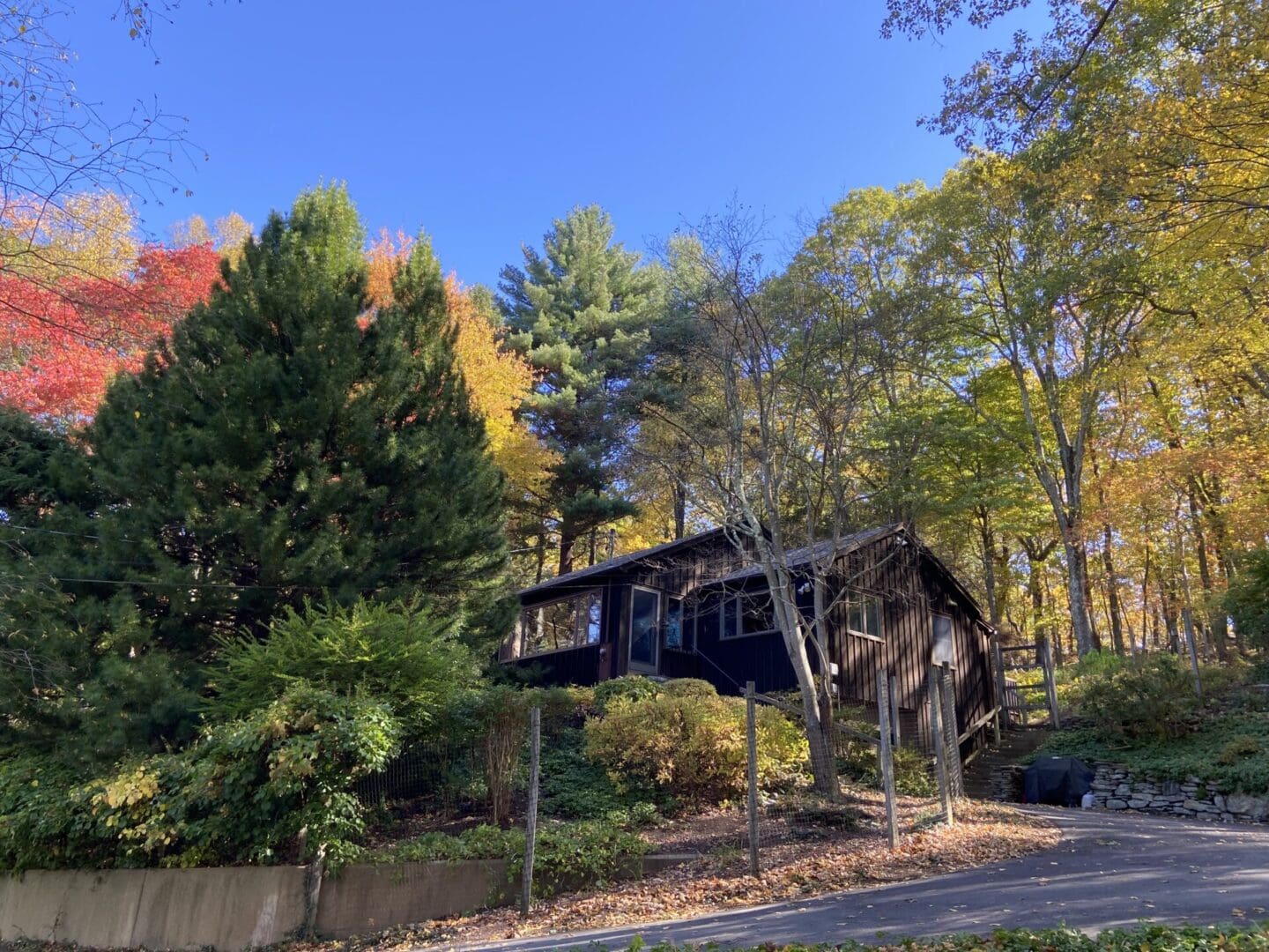 Cabin in a wooded autumn setting.