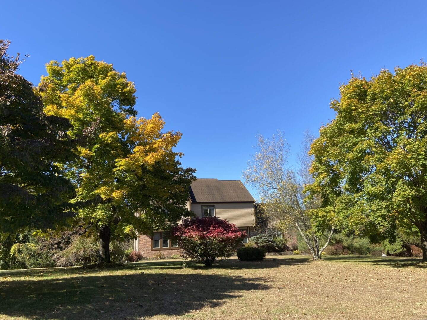 Fall foliage near suburban home.