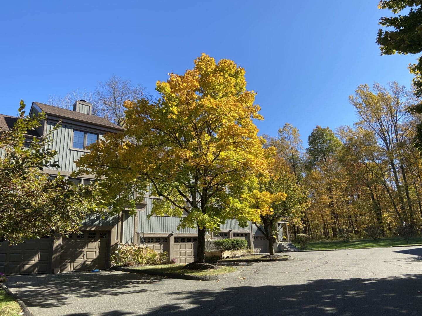 House with yellow leaves and driveway.